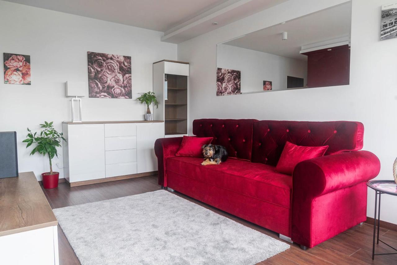 Rose Valley Apartment Поляница-Здруй Экстерьер фото
